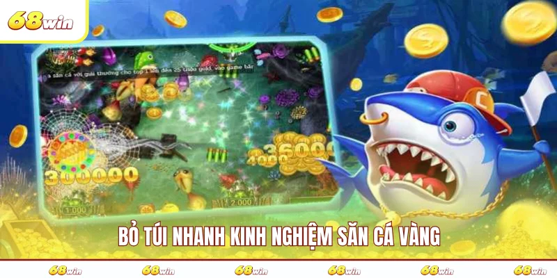 Bỏ túi nhanh kinh nghiệm săn cá vàng